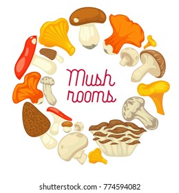 Mushrooms edible mushrooming poster. Vector flat champignon and boletus or forest chanterelle and lobster mushroom