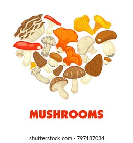 Mushrooms edible mushrooming poster. Vector flat champignon and boletus or forest chanterelle and lobster mushroom