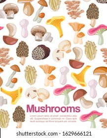 Mushrooms edible organic vegeterian mushrooming poster vector illustration. Cartoon champignon and boletus or forest chanterelle and lobster mushrooms patterned poster.