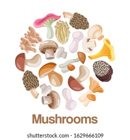 Mushrooms edible vegeterian mushrooming poster vector illustration circle composition. Cartoon champignon and boletus or forest chanterelle and lobster mushrooms patterned circle poster.