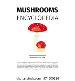 Mushrooms Encyclopedia vector design. Amanita muscaria fungi illustration on white background