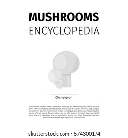 Mushrooms Encyclopedia vector design. Champignon fungi illustration on white background