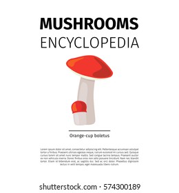 Mushrooms Encyclopedia vector design. Orange-cup boletus illustration on white background