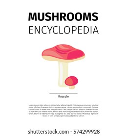 Mushrooms Encyclopedia vector design. Russule fungi illustration on wjite background