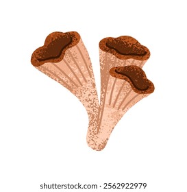 Mushrooms, fall seasonal fungi with gilled caps and stalk. Autumn trumpet fungus, natural food, chanterelles. Botanical flat graphic vector illustration isolated on white background