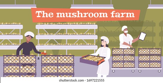 Mushrooms farm composition with indoor warehouse scenery and characters of people moving boxes filled with mushrooms vector illustration