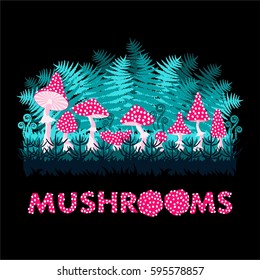 Mushrooms, ferns, leaves and moss on black background. Magic forest . Vector illustration