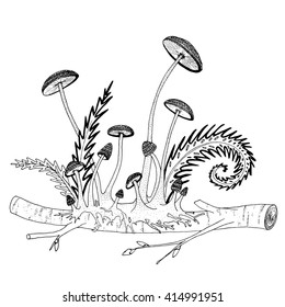 Mushrooms and ferns on a twig. Printable hand drawn coloring book page for adult recreation. Relaxing, stress free activity. EPS 10