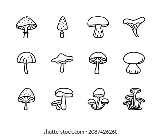 Mushrooms flat line icons set. Poisonous and edible mushroom symbol. Simple flat vector illustration for web site or mobile app.