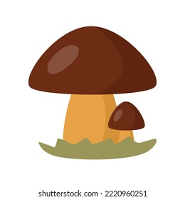 Mushrooms in flat style. Vector illustration 
