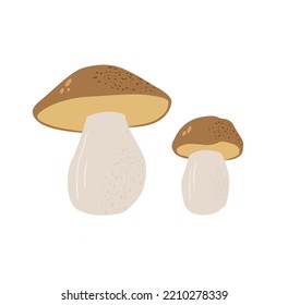 Mushrooms flat vector illustration. Cep isolated on white background