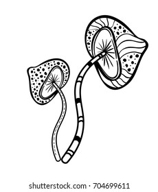 Mushrooms of fly agaric with patterns, ornaments, curls. Doodle. Boho style.