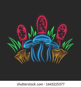 Mushrooms food still life, glowing neon sign from different mushrooms with grass, bright print for t-shirt