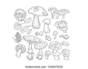 
Mushrooms food vegetarianism menu graphic illustration hand drawn sketch blowing nature