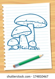Mushrooms in a forest in the countryside.