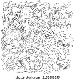 Mushrooms forest glade fly agaric mushrooms coloring book for children nature flowers sun and glade hand drawn spring summer illustration funny