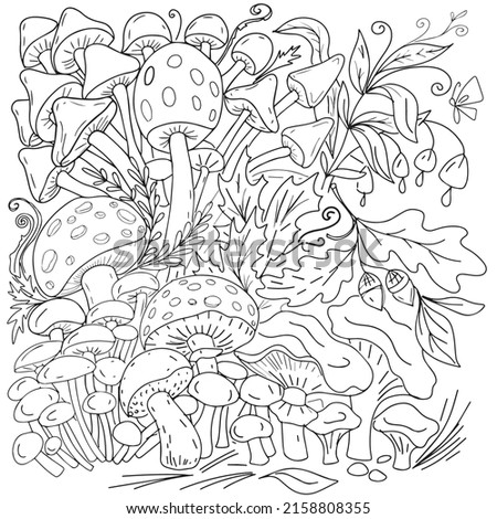 Mushrooms forest glade fly agaric mushrooms coloring book for children nature flowers sun and glade hand drawn spring summer illustration funny