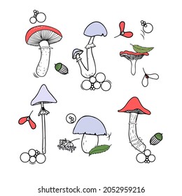 Mushrooms, forest, leaves, nature relaxation concept. Set of doodle mushrooms, leisure hobbies in forest, decor leaves, acorns, dots. Vector illustration.