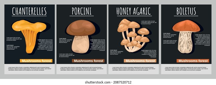 Mushrooms forest poster set of chanterelle porcini honey agaric boletus images on black background isolated vector illustration