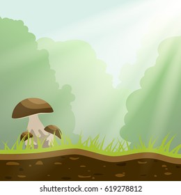 Mushrooms in the forest, vector illustration