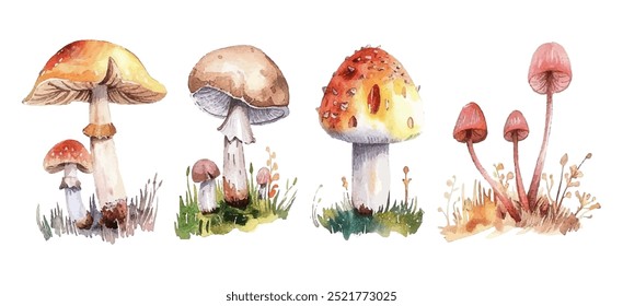 Mushrooms forest vector illustration. Poisonous toadstool fairy inedible mushrooms collection in hand drawn style. White toadstool, fly agaric or amanita isolated vector set.