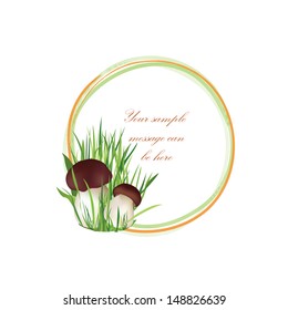 Mushrooms frame isolated over white background. Boletus floral summer border set. Forest background with copy space.