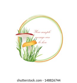 Mushrooms frame isolated over white background. Boletus floral summer border set. Forest background with copy space.