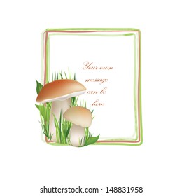 Mushrooms frame isolated over white background. Boletus floral summer border set. Forest background with copy space.