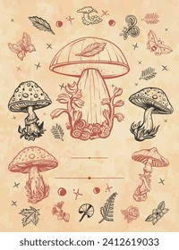 Mushrooms frame. Old paper vector. Cover page template. Autumn forest, vertical background