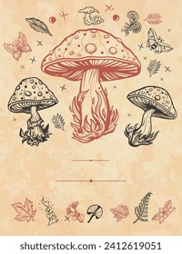 Mushrooms frame. Old paper vector. Cover page template. Autumn forest, fly agaric, vertical background