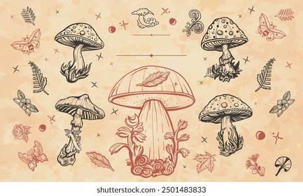 Mushrooms frame. Old paper vector. Cover page template. Autumn forest, vertical background. Medieval manuscript, engraving style