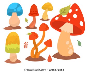 Pilze Pilz agarius toadstool verschiedene Art Design Pilz Vektorgrafik roter Hut