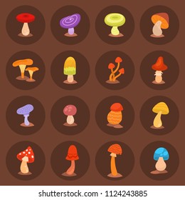 Mushrooms fungus agaric toadstool different art style design fungi vector illustration red hat