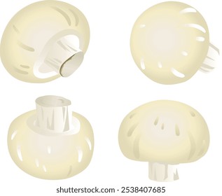 Mushrooms - Gradient touch illustration set.
I drew some delicious looking mushrooms.