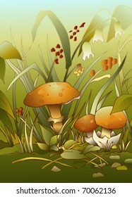 Mushrooms in the grass