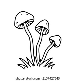 Mushrooms in the grass isolated on white background. Poisonous toadstool. Vector hand-drawn illustration in doodle style. Perfect for cards, decorations, logo.