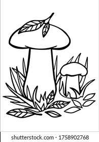 Mushrooms in the grass - linear vector illustration for coloring. Two ceps large and small in the grass and fallen leaves - autumn coloring. Outline. Hand drawing.
