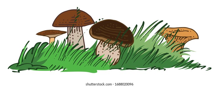 Pilze im Gras. Vektorillustration ist einzeln auf weißem Hintergrund. Irgendwas gewöhnliche Waldpilze. Bleistift, Tinte, Marker auf Papier.