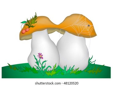 Mushrooms in a green grass with flower