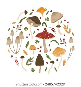 Mushrooms group of objects. Set of autumn mushrooms with grass, amanita, morel, chantarelle, honey agaric, berries. Fall mushrooms for sticker, logo, children book, print. Isolated vector element.