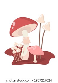 Mushrooms grow in a clearing in the forest.