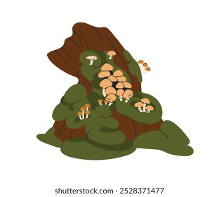 Setas que crecen en el tocón del bosque. Racimo de hongos en el tronco musgoso del árbol. Naturaleza de la temporada de otoño. Muchos hongos comestibles agrupan el crecimiento, la cosecha de otoño. Ilustración vectorial plana aislada sobre fondo blanco