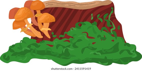 Mushrooms growing on stump, forest fungi with green moss. Autumn natural scene, wild chanterelles vector illustration.