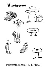 Mushrooms hand drawing