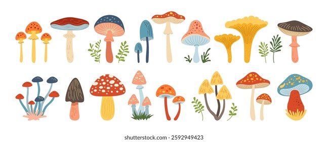 Mushrooms hand drawn cartoon set. Poisonous and edible various textured mushrooms vector isolated Illustration. Boletus, chanterelle, porcini Amanita Muscaria, Fly agaric toadstool mushrooms icon art