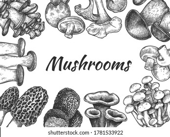 Mushrooms. Hand drawn different mushrooms organic vegetarian product food, sketch design for menu, label or packaging, vector background. Edible mushroom morel, truffle, champignon, trumpet