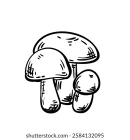 Mushrooms hand drawn illustration isolated, Champignons healthy food ingredient vector sketch monochrome black doodle on white background, Group of three cultivated mushroom