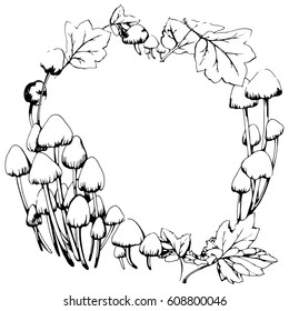 Mushrooms hand drawn illustration. Round decorative frame