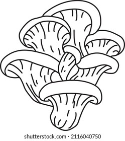 mushrooms hand drawn line vector