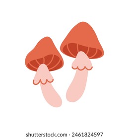 Mushrooms. Hand drawn vector illustration.